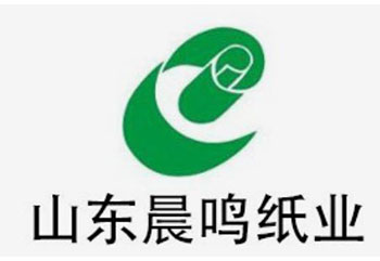 山东晨鸣纸业集团