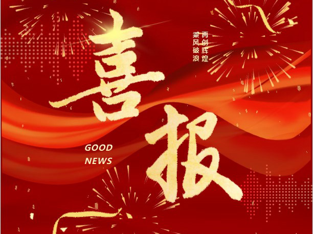 喜报｜跨海交付！宝士电气华友钴业匈牙利项目圆满交付